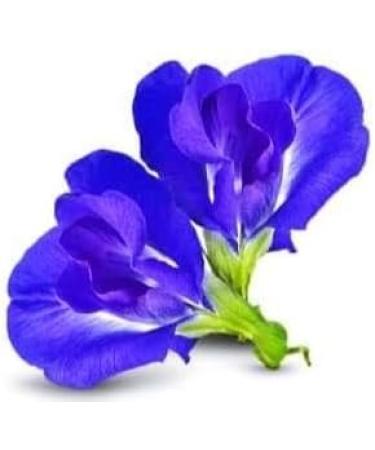 Ceylon Cinnamons Pure & Natural Butterfly Loose Flower 50g Loose Blue Matcha Caffeine-Free Flower Tea Sparkle your smoothies baking cuisines - Buy Online on GoSupps.com