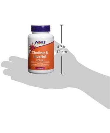 Now Choline/Inositol 500mg 100cap ( Packaging May Vary ) - Buy Online on GoSupps.com