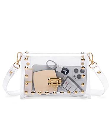 MOETYANG Clear Purse Stadium Approved for Women, Small Clear Crossbody Bag Fashion, Cute See Through Clutch Mini Shoulder Bag Gold
