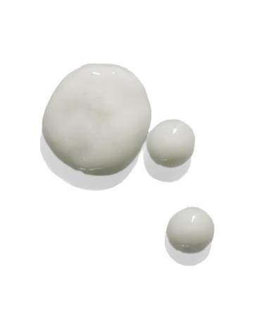 Purifying Facial Cleanser & Silk Sea Sponge | All-Natural Vegan Cruelty-Free | Smooth Nourished Skin for Normal to Oily Skin (60ml - Buy Online on GoSupps.com