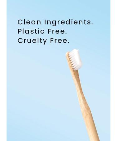 Nelson Naturals Fresh Mint Mineral Rich Fluoride Free Toothpaste with Hydroxyapatite 93g 3.25 Ounce (Pack of 1) - Buy Online on GoSupps.com