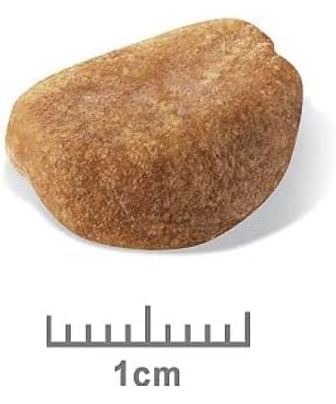 Royal Canin Dog Food Rottweiler Puppy 12kg - Buy Online on GoSupps.com