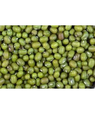 Jiva Organics 4 LB Large Bag Organic Mung Beans - Green Moong Beans - Buy Online on GoSupps.com