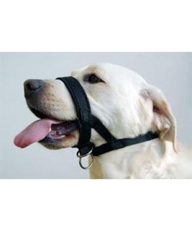 Champion Anti-Pull Training Halter for Dogs - Padded Black - Improve Control & Comfort - International Shipping Available - Buy Online on GoSupps.com