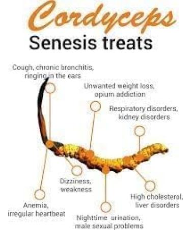 JAY Cordyceps Sinensis Powder (Caterpillar Fungus) Ophiocordyceps Sinensis Mushroom 100 g - Buy Online on GoSupps.com