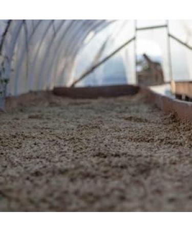 Mini Granja Dilma Honduras Specialty Coffee Beans - Buy Online on GoSupps.com