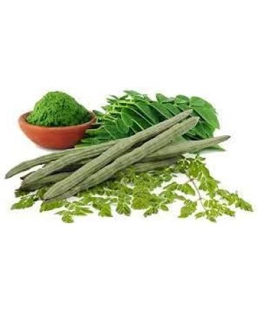 Alamgeer Natural Moringa Powder 200g (100gx2) - Buy Online on GoSupps.com