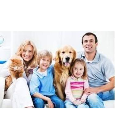 Natural Shield Silver First Aid 1oz Combo Pack - Brush on & Spray on Bandage for Cuts and Scrapes - Woman-Owned US Small Business - Buy Online on GoSupps.com