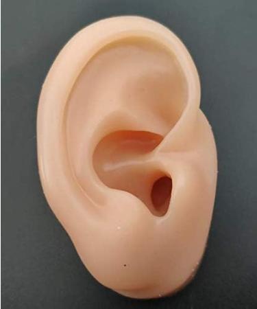 Fhuili EAR Model - Soft Silicone Simulation Ear for Acupuncture Ear Picking Practice & Earring Display Props - Buy Online on GoSupps.com
