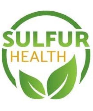 MSM Organic Sulfur - 99.9% Pure MSM Supplement - Lab-Tested & Certified (1 Pound) 1 Pound (Pack of 1) - Buy Online on GoSupps.com