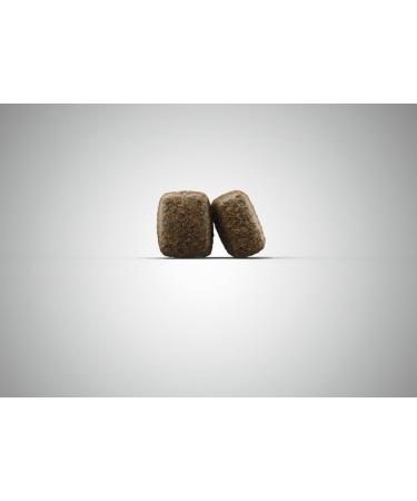 Josera Sensi Dry food for adults 12.5 kg - Buy Online on GoSupps.com