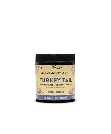 Turkey Tail Dual-Extract Concentrated Mushroom Powder | Source of Fungal Polysaccharides with Immunomodulating Properties | Immune & Digestive Imbalances Powder (45 Gram)