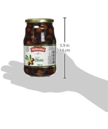 Regina Molisana Leccino Olives 580 milliliters - Buy Online on GoSupps.com