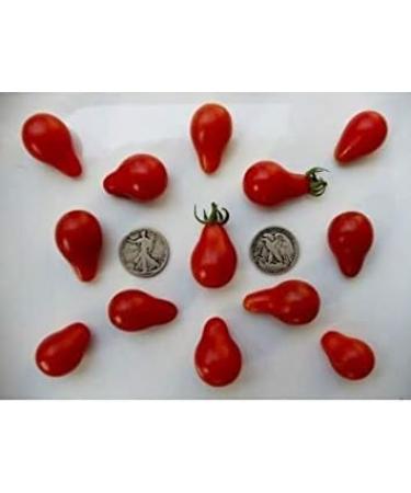 VISA STORE Red Pear - Organic Tomato Seeds - Cherry Pear Shaped - 40 Seeds - Buy Online on GoSupps.com