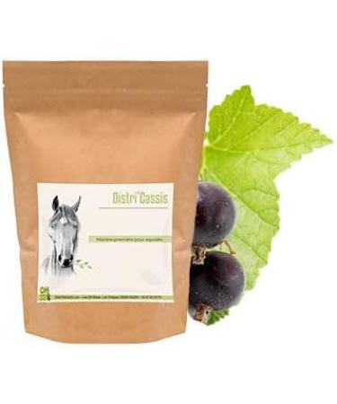 Black currant Horse - Joint Comfort - 500 g - Buy Online on GoSupps.com
