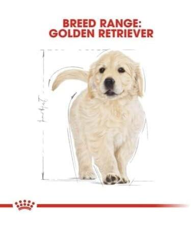 Royal Canin BHN Golden Retriever Puppy - Dry Puppy Food - 3 kg - Buy Online on GoSupps.com
