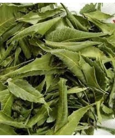 Neem Leaves Azadirachta indica Powder - 300 GM - Buy Online on GoSupps.com