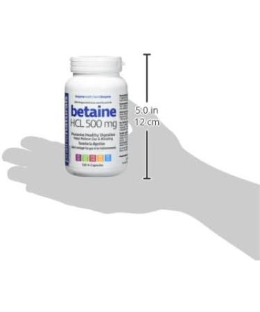Prairie Naturals Betaine HCL 500mg VCaps - 120 Count Unflavored 120 Count (Pack of 1) - Buy Online on GoSupps.com