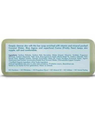 Quench & Refresh with Coconut & Cactus Water Bar Soap | Natural Hydration - Buy Online on GoSupps.com
