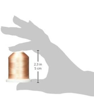 Meta Title: Robison-Anton Super Strong Flesh Thread | High-Quality Sewing Thread - Buy Online on GoSupps.com