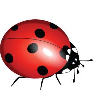 Urinal Fly Toilet Stickers 12 Pack - Bee, Fire, Ladybug Target - 80% Cleaner Bathrooms in Minutes! - Buy Online on GoSupps.com