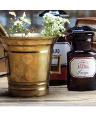  Montlure Traditional Verbena Liquid Soap with Essential Oils - 97% Natural Ingredients - Made in Provence France - Hands Body and Face - Shower Gel 500 ml - Buy Online on GoSupps.com