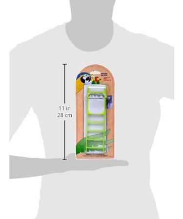 Penn Plax 4-Step Bird Ladder with Mirror - Interactive Toy for Birds - Buy Online on GoSupps.com
