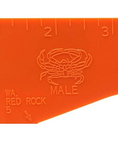 AirFly Crab Gauge - Accurately Measure Dungeness & Rock Crabs - Convex Design - Buy Online on GoSupps.com