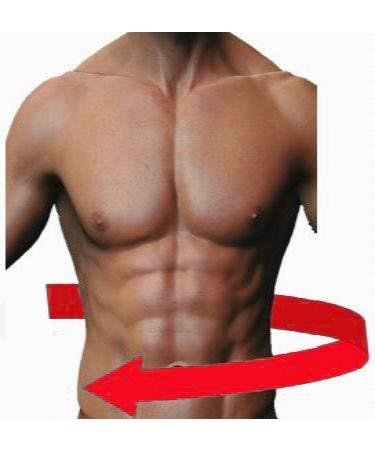 Armor Orthopedic Fence Corset - Flexible & Breathable Support for Lumbar Pain Posture Issues and Osteochondrosis - Buy Online on GoSupps.com