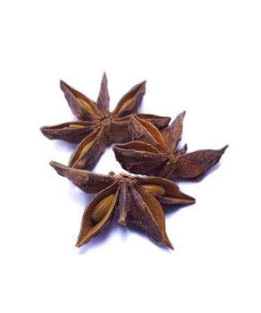 Star anise ORGANIC whole 100g from Dragonspice Naturwaren whole 100g