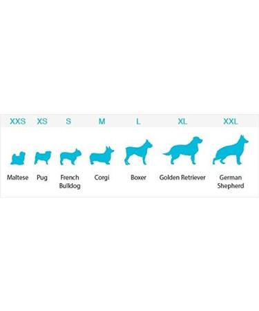 Grippers Non Slip Dog Socks | Paw Traction Control & Protection | Indoor Dog Booties XXS - Buy Online on GoSupps.com