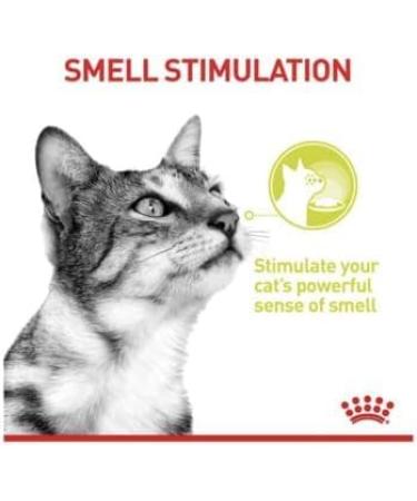 Royal Canin Sensory Smell in Jelly Wet Cat Food 85g (Pack of 24) - Buy Online on GoSupps.com