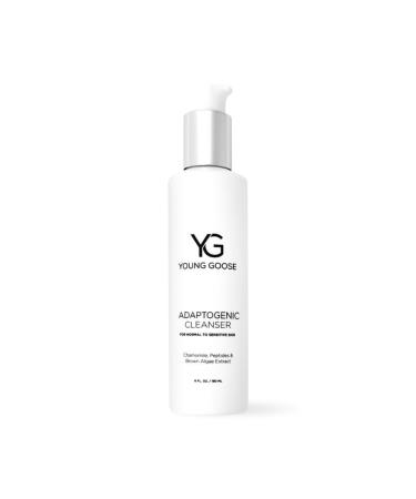 Young Goose Adaptogenic Cleanser | Gentle Facial Cleanser | Soap Free Paraben Free | Normal to Sensitive Skin