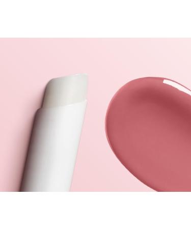 COVERGIRL Outlast All-Day Lip Color | Natural Blush 621 | Long-Lasting & Transfer-Proof | Shop Internationally - Buy Online on GoSupps.com