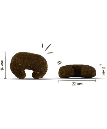 bosch Life Protection Concept | Sensitive Renal & Reduction | Dry food for nutritionally sensitive adult dogs | Reduced in protein and minerals | 1 x 11.5 kg - Buy Online on GoSupps.com