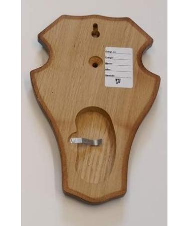 5-Piece REH Buck Sign Trophy Set with Pine Compartment | Dark Oak | 21x13 cm - Perfect for International Shipping - Buy Online on GoSupps.com