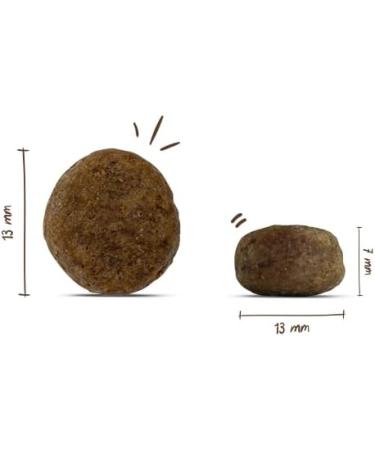 Buy Bosch HPC Light Dry Dog Food for Overweight Dogs | 2.5 kg - All Breeds | International Shipping Available - Buy Online on GoSupps.com