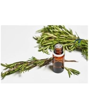  Generisch Merciful Samaritan Vegetable Oil Antibacterial Full Effect - Buy Online on GoSupps.com