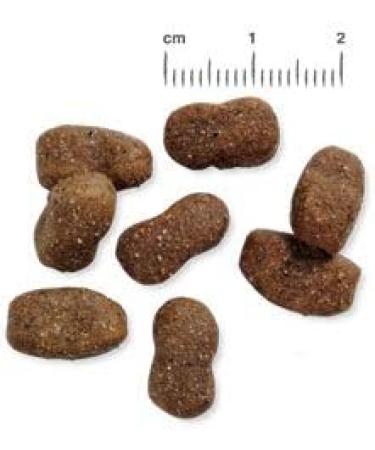 Belcando Adult GF Beef Grain-Free Dog Food | 1 kg Dry Grain-Free Sole Feed for Adult Dogs - Buy Online on GoSupps.com