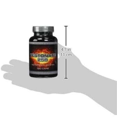 Buy TESTONATE 250 Testosterone Booster - 120 Capsules with Creatine Tribulus Maca & Avena Sativa | International Shipping Available - Buy Online on GoSupps.com