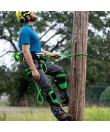 Notch Gecko Steel Climbers with Pole Gaffs (Pair) - 41185 - Buy Online on GoSupps.com