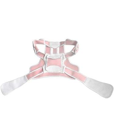 DFHBFG Children's Back Belt - Kids Posture Corrector & Shoulder Support Corset Braces for Girls & Boys (Large-XL) - International Shipping Available - Buy Online on GoSupps.com