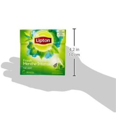 Lipton Th Vert Menthe Intense Go t Intens ment Frais & Subtil Label Rainforest Alliance 60 Sachets Lot de 3x20 Sachets 3 20 Unit (Lot de 3) - Buy Online on GoSupps.com