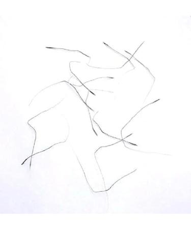 Indianstore4everyone 100% ORIGINAL Raj Mohini Jadi Mohini Jadi (Black 9 Pieces) - Buy Online on GoSupps.com