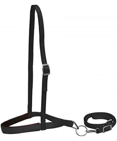 Showman Premium Black Nylon Noseband Tie Down with Strap - Sturdy and Reliable - Buy Online on GoSupps.com