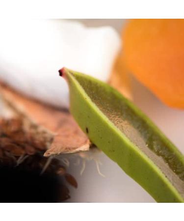 Buy Red Flower French Lavender Softening Lotion - Shop Internationally for Luxurious Skincare - Buy Online on GoSupps.com