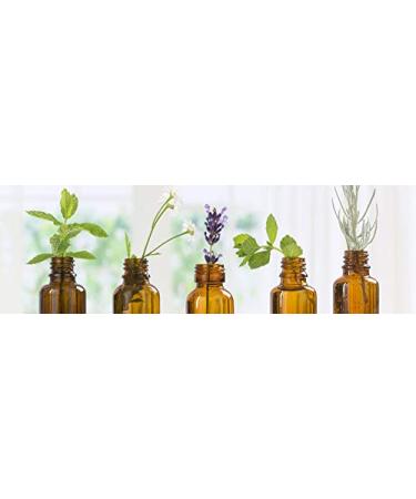 Buy Vuyst Purifying Extract_AB - Best International Shipping for Skincare Products - Buy Online on GoSupps.com