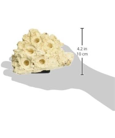 Tunze Coral Rack nano - Buy Online on GoSupps.com