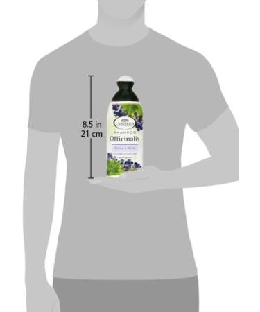 L Angelica Officinalis Shampoo - Sebum Regulating with Nettle & Myrtle 250ml | Italian Import for Healthy Hair - Buy Online on GoSupps.com