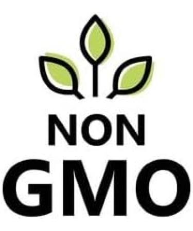 Natural Thrive Organic Enoki Mushroom Powder - Natural Umami Flavor Enhancer - Rich in Antioxidants - Vegan Gluten-Free Non-GMO - 100g - Buy Online on GoSupps.com